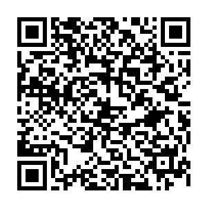 这会儿我们也是看到了在我们的眼前有着一扇古朴的大门和地葬古穴一样的二维码生成