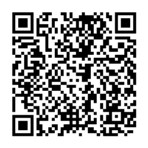 这会儿我还看到了在屋外一个宽大的背影正在整理刚刚从地里挖回来的红薯二维码生成