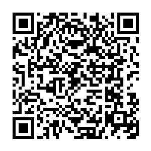 这会儿我那原本还杀气腾腾的魔尸门的长老看到我一招便秒了血尸门的长老二维码生成