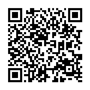 这会儿没人敢把他看成是什么攀着大秀上位的小白脸了二维码生成