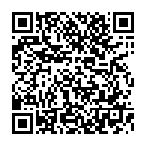 这会已经突破离开陨梦之地……这会……应该已经身在数百里之外了……二维码生成