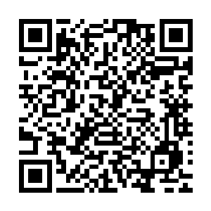 这传出去估计任谁都不会相信这两人竟然坐在了同一张饭桌上二维码生成