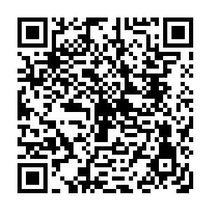 这估计伤害苏爷爷的人应该和我们进入镇子时候迷糊村民操纵行尸的是同一伙人二维码生成