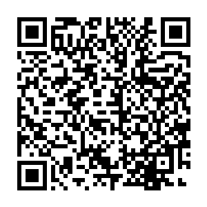 这似乎不符合林小姐以往创作的小说里面的每个角色的严谨性和合理性二维码生成