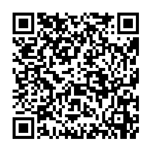 这位上辈子一向闲散而没有根基跟势力的浮生老弟在这一世反而反其道而行二维码生成