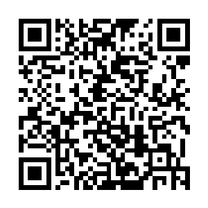 这位副省长来之前是认真分析了丰州地区经济发展指标的二维码生成
