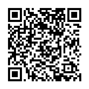 这位在离阳朝野几乎没有任何事迹流传的北莽太子轻轻叹息二维码生成