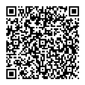 这位大婶哟哟哟这是怎么回事啊你不是说你和你们陈家的灵素姑娘关系很好的么怎么转眼之间就不认识了呢二维码生成