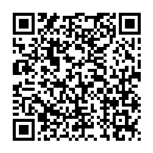 这位年轻的永平伯正使唤几十个军士在家里整修花园――对于武官而言二维码生成