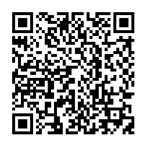 这位徐府小姐十二岁时便在青云榜上一望无敌……真凤之血果然很了不起啊二维码生成