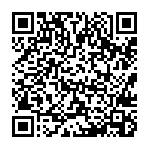 这位戴文老师开始滔滔不绝地介绍两块大陆的文学发展史以及著名的文学家二维码生成