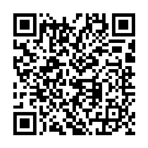 这位殿下的基业即使在其它半神当中也是极为厚实的了二维码生成