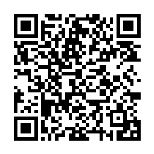 这位著名的好莱坞导演有让任何媒体和记者等的资格与本钱二维码生成