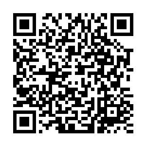 这位让他在太安城皇宫内苦苦翻阅秘密档案也找不到端倪的师父二维码生成