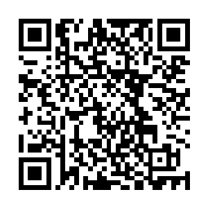 这位镇守武帝也是狂暴无比的释放出了更恐怖的攻击了二维码生成