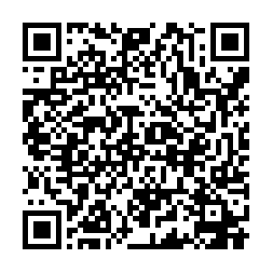 这位马纳拉索的队长已经不止一次表达了想要和王铮一起战斗的想法二维码生成