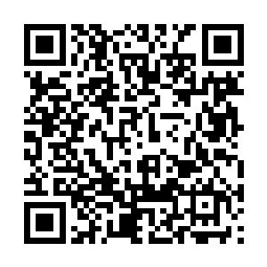 这使得人类修士这边暗暗庆幸刚才没有和妖族开战二维码生成