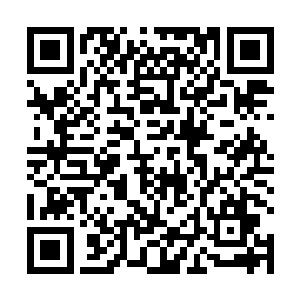 这便是自然环境的一种分化导致的修真文明的不同发展二维码生成