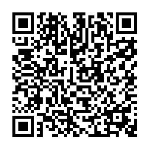 这倒不是他们就不能够在猎杀圣级大圆满混沌兽和域外天魔的过程中出力二维码生成