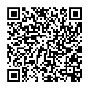 这倒不是他的权印等级比段威天的权印等级低而是他的修为和段威天不能够相比二维码生成