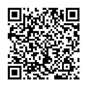 这倔强的性格从他认识她到现在都没有稍微地收敛一点点二维码生成
