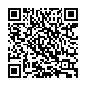 这元素之灵的价值要大得多了……这可是在外界价值连城的至宝二维码生成