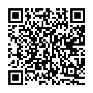 这其实才是张铁和龙皇神殿的七个巨头之间的第一次正式见面二维码生成