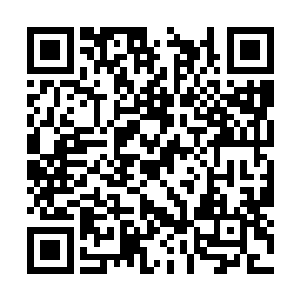 这几个重点工程我们行署还是会按照程序走招投标二维码生成