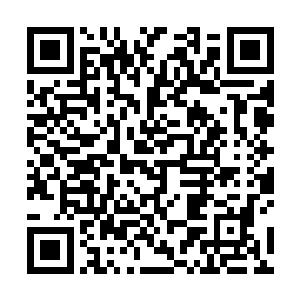 这几位哪个不是从小在家里被当成宝贝一样的宠着爱着二维码生成