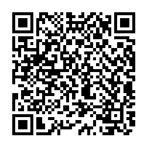 这几天秀红没事就带着秀兰和博文到山脚下和村里的孩子们一起去捡木柴二维码生成