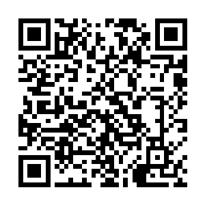 这几天程兆儿已经用药杵把它们研磨出来混杂在一起了二维码生成