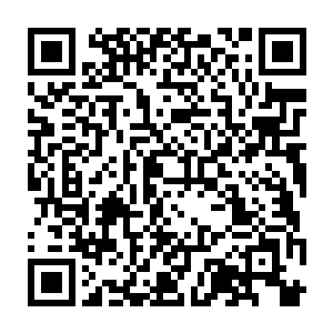 这凡事呢 都得讲究个证据 你沒证据 可别乱说哦 侮辱贵族 是大罪 二维码生成