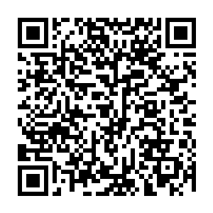 这凡间随处可见的小毛孩子又是怎么走的这种大运呢……清心收了他当徒弟二维码生成