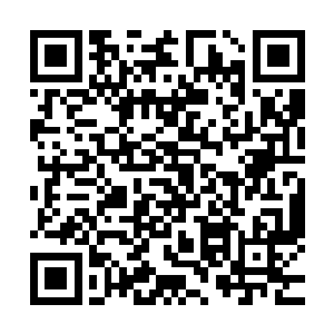 这到底是怎么回事 为什么会突然出这样的车祸 为什么 二维码生成