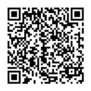 这十一座城池只是星皇神殿钉在了龙皇域的一颗钉子和将来扩张的一个根据地二维码生成