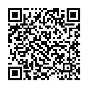 这十几位门主就将目光定格在了一位穿着乳白色长袍二维码生成