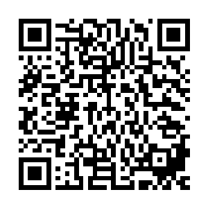 这南边三百五十海里是两国交界边境海域的极端宗教分子活动区二维码生成