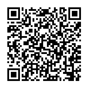 这却怎么也不是要先诛俺们父子的模样…………俺们在燕王殿下手中二维码生成