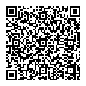 这又难以解释他们日益升温的感情以及彼此眼神中的爱的电波――杀手对一个人的眼神是最敏锐的二维码生成