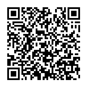 这句话显然是变相承认了赵家在这一过程中发挥了不可或缺的作用二维码生成