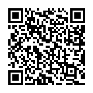 这只代表着死亡的大手这一刻疯狂的伸向了躺在那里的父亲……二维码生成