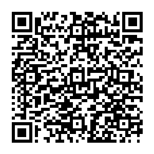 这只巨虎也是立即凶悍无比的冲了出去的……向着呼啸着冲杀而来的水龙撞击了过去的二维码生成