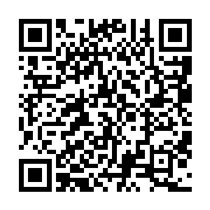 这只至尊灵兽似乎也意识到了什么……连续怒吼了几嗓子二维码生成