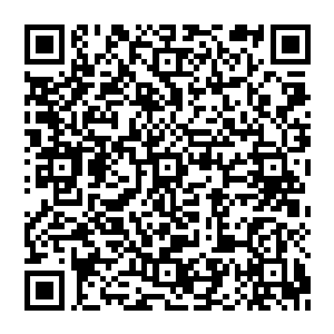 这只遮天般的巨虎将整个中心广场上的数万修士完全罩在了里面♀面数万妖族正在不懈地攻击着那只巨型老虎二维码生成