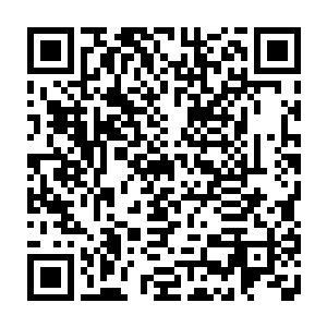 这可不代表那条怪鱼是好对付的――若是好对付也用不着他施展那等繁复手段了二维码生成