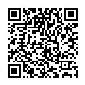 这可以算是墨族有使以来第一位借助融归之术诞生的伪王主二维码生成