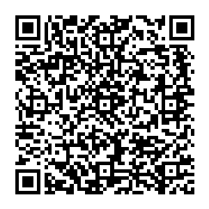这可是他用多年对族里的全部贡献度换来准备给他的本命月牙棂瑟瑟脱胎换骨提升更高级精纯血脉的极品丹药二维码生成