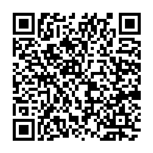这可是就算是在仙界也是十分稀少的上等灵鱼搭配上等灵水熬制的灵鱼汤二维码生成