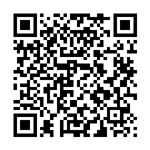 这可是用特殊装备加成过的A级技能……扛得这么轻描淡写二维码生成