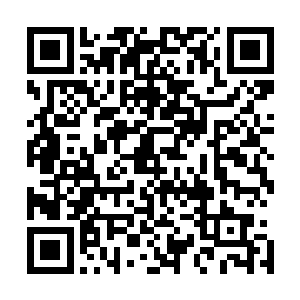 这可比当初秦方和宁羽墨一起抓住的那个强歼犯凶残的多了二维码生成